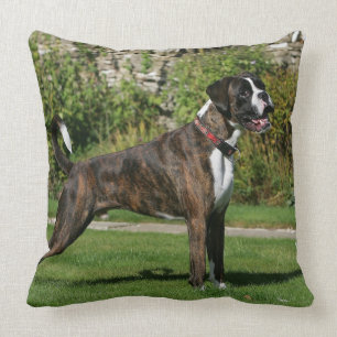 Brindle Stance för boxarehundShow Kudde
