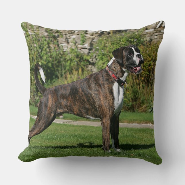 Brindle Stance för boxarehundShow Kudde (Framsida)