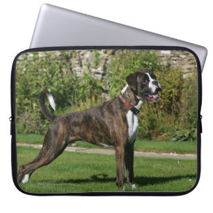 Brindle Stance för boxarehundShow Laptop Sleeve
