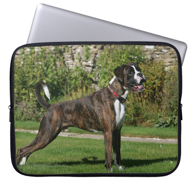 Brindle Stance för boxarehundShow Laptop Sleeve (Framsidan)