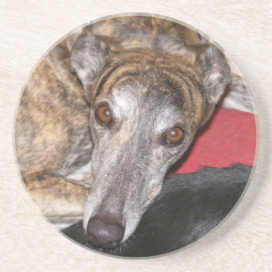 Brindle vinthund underlägg