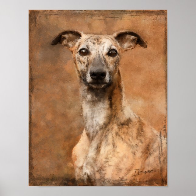 Brindle Whippet Hund Poster (Framsidan)