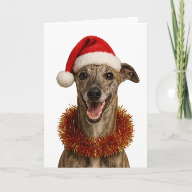 Brindle whippet in a Santa hat Christmas card Kort (Framsida)