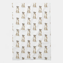 Brindle & White Boxer Hund