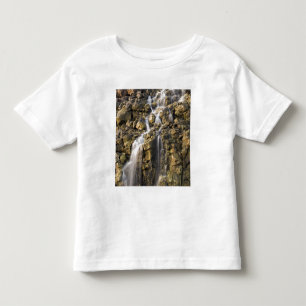 Brinenedgångar från vulkanisk sten tappar av tee shirt