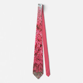 "Brinna Bush" Tie Slips