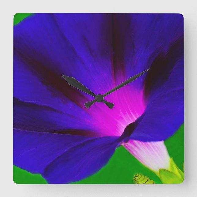 Brinnande lila-rosa blomsterprakt  fyrkantig klocka (Framsida)