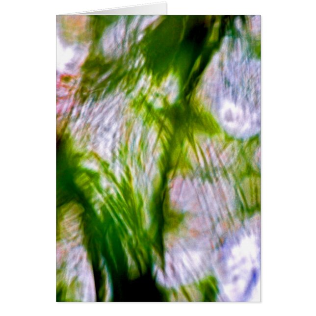 Brist på fokus-Willow Hälsningskort (Framsidan)