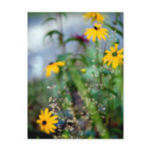 Brist på målarsjuka