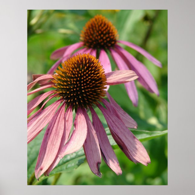 Bristande fullhet poster (Framsidan)