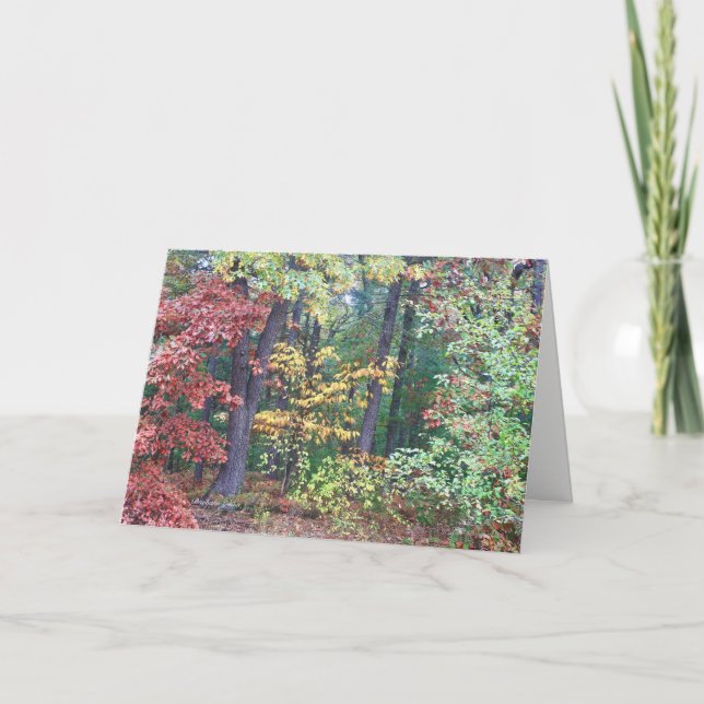 Bristers Backe, Concord MORSA Kort (Framsida)