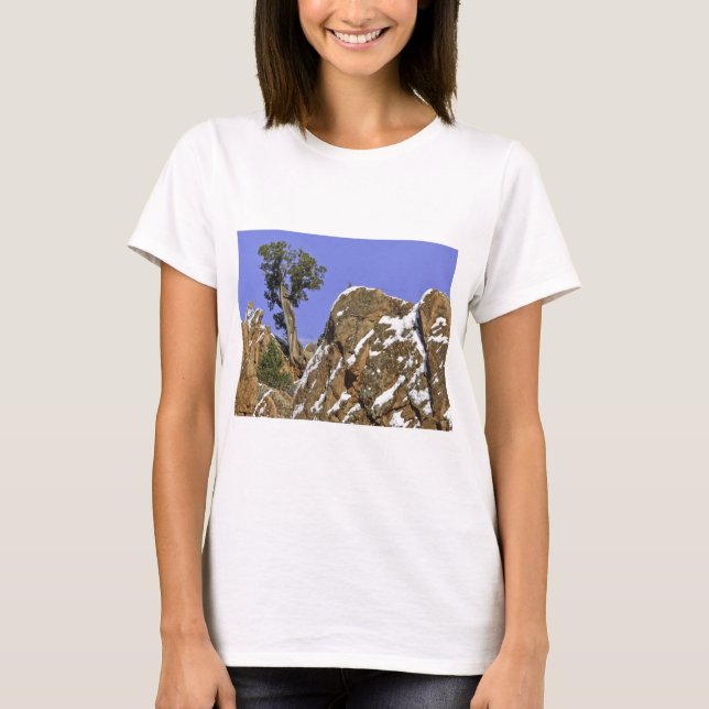 Bristlecone gräs tee (Framsida)