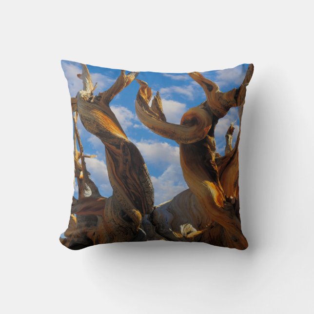 Bristlecone-Tall Kudde (Framsida)