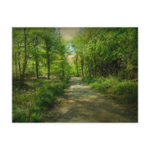 Bristol Avon Forest i Vår.