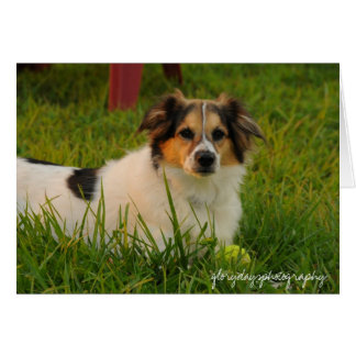 Bristol Hälsningskort