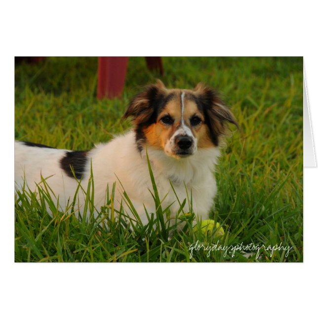 Bristol Hälsningskort (Framsidan Horizontal)