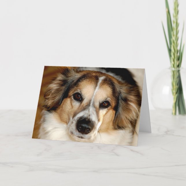 Bristol Kort (Framsida)