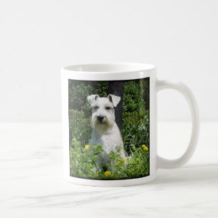 Bristol - lyckan är en adoptiv- Schnauzer! Mugg