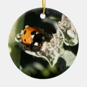 British 7 Spot Ladybug Anpassningsbar Birthday Julgransprydnad Keramik