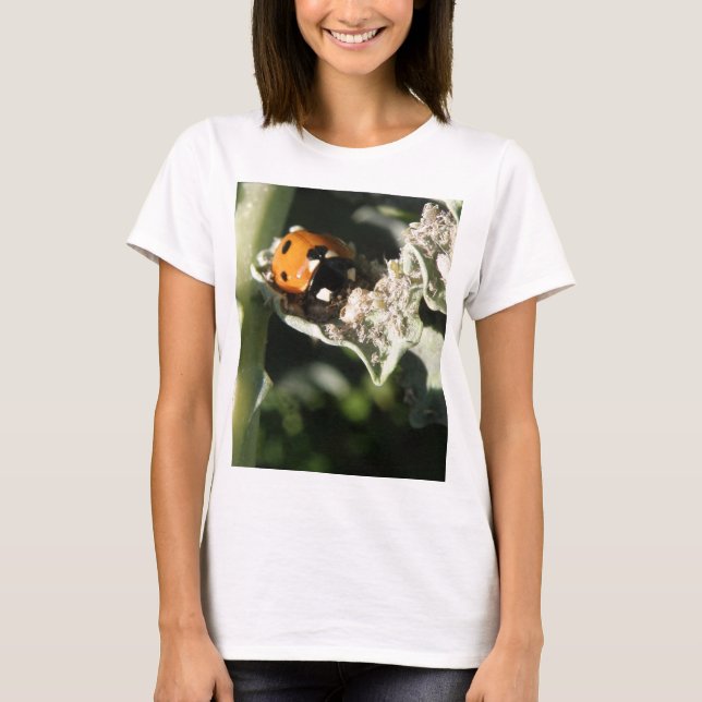British 7 Spot Ladybug Dam T Shirt (Framsida)