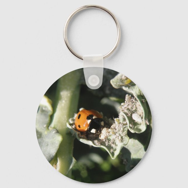 British 7 Spot Ladybug Keychain Nyckelring (Framsida)