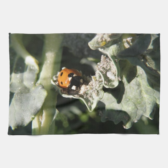 British 7 Spot Ladybug Kitchen Towel Kökshandduk (Horisontell)