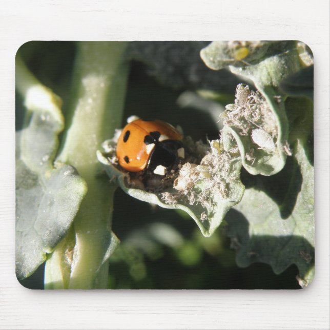British 7 Spot Ladybug Mousepad Musmatta (Framsidan)