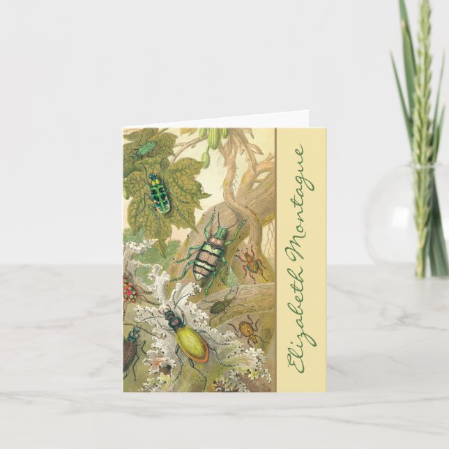 British Beetles Personlig Note Cards Anteckningskort (Framsida)