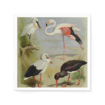 British Birds, Art Illustrations