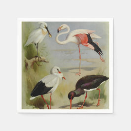 British Birds, Art Illustrations Pappersservett