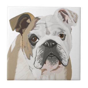British Bulldog med Union Jack Kakelplatta
