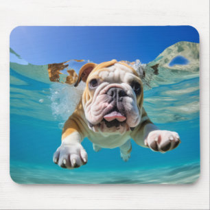 British Bulldog Pet Hund Animal Roligt Play Musmatta