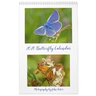 British Butterflies 2020 Kalender