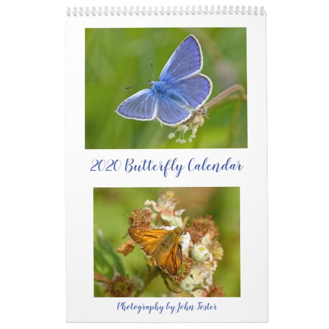British Butterflies 2020 Kalender (Omslag)