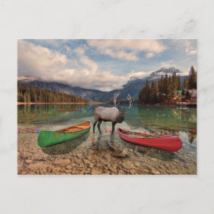 British Columbia-jul Helg Vykort