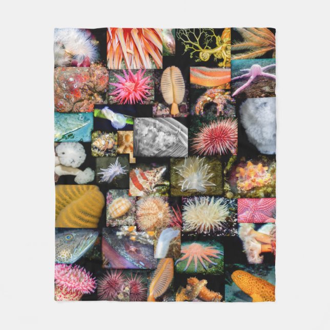 British Columbia Marine Life Collage Blanket Fleecefilt (Framsidan)