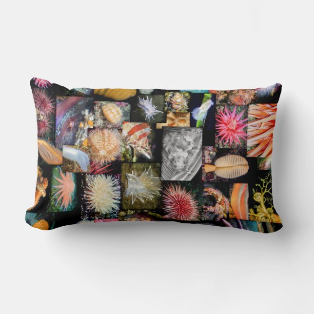 British Columbia Marine Species Collage Pillow Lumbarkudde (Framsida)