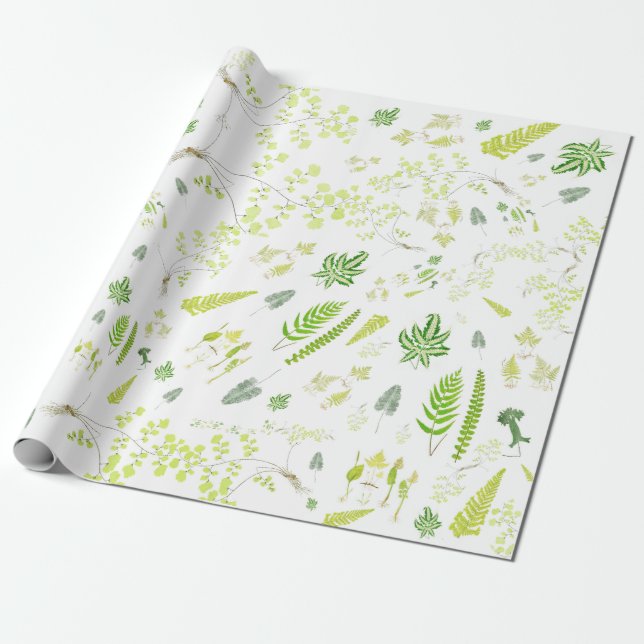 British Ferns in Victorian Drawings Wrapping Paper Presentpapper (Utrullad)