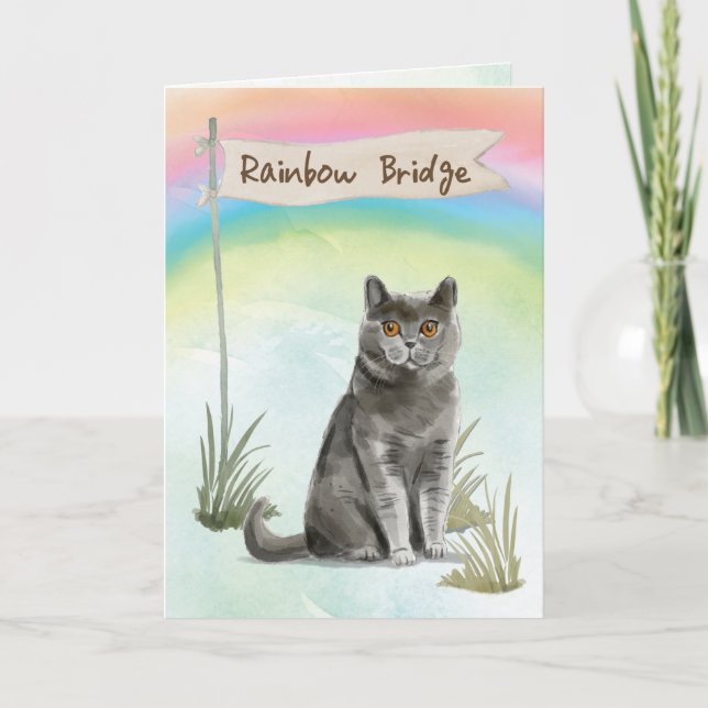 British Kort Hair Cat Pet Sympathy over Rainbow (Framsida)