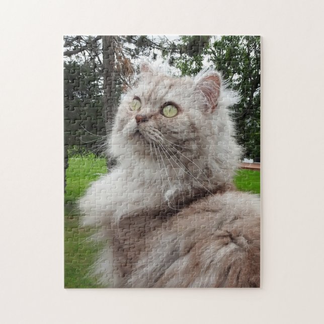 British Långhårig Cat - Chocolate, Silver Tabby Pussel (Vertikal)