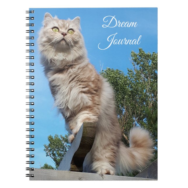 British Långhårig Cat Dream Journal Notebook Anteckningsbok (Framsidan)