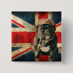 British Pug Knapp