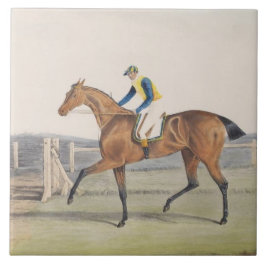 British Racehorse (The Duchess) Kakelplatta