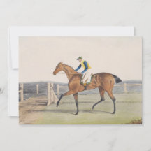 British Racehorse (The Duchess)