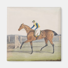 British Racehorse (The Duchess) Magnet
