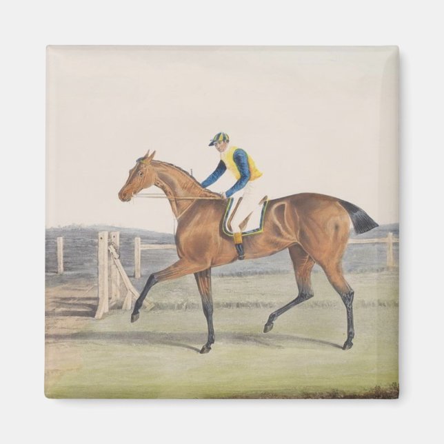 British Racehorse (The Duchess) Magnet (Framsidan)