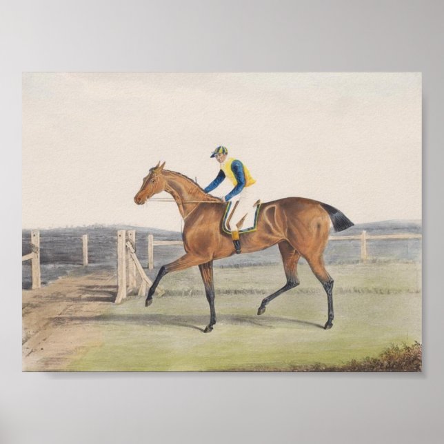 British Racehorse (The Duchess) Poster (Framsidan)
