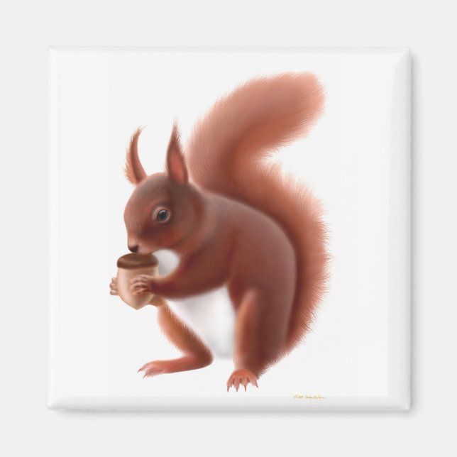 British Red Squirrel Magnet (Framsidan)