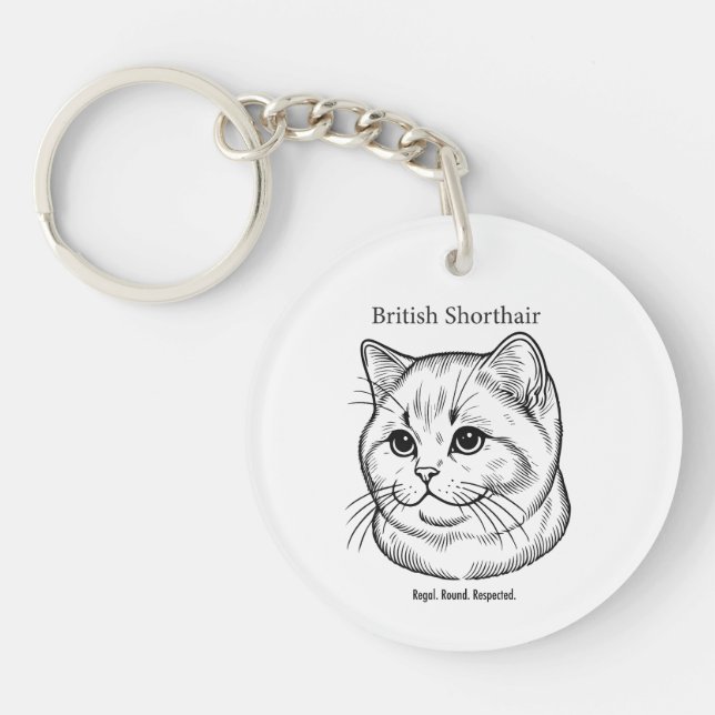 British Shorthair (Framsidan)