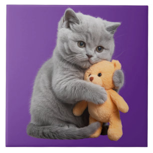 British Shorthair and Nalle Decorative Tile Kakelplatta